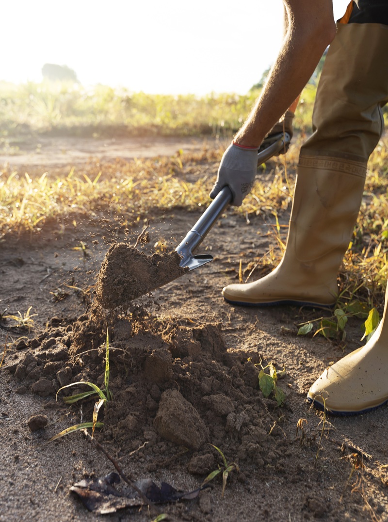 person-planting-tree-countryside
