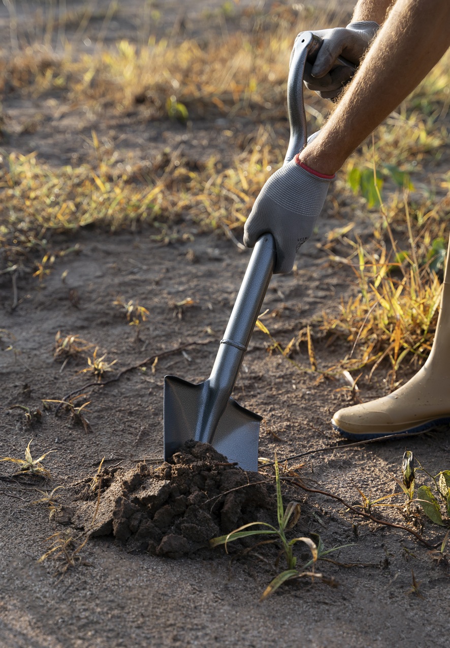 person-planting-tree-countryside
